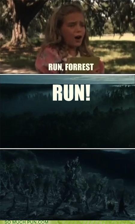 Puns Forrest Gump Funny Puns Pun Pictures Cheezburger