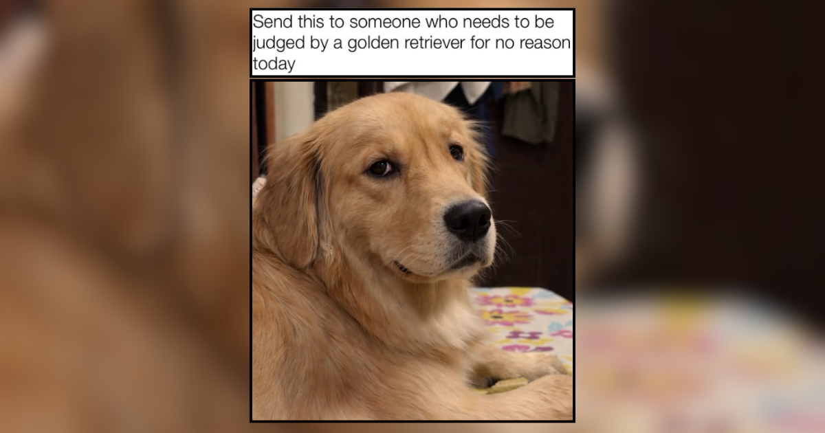 REBUILD KIT - FRONT CX65 CARD MASTER 11MM DIA - BUSHING STYL