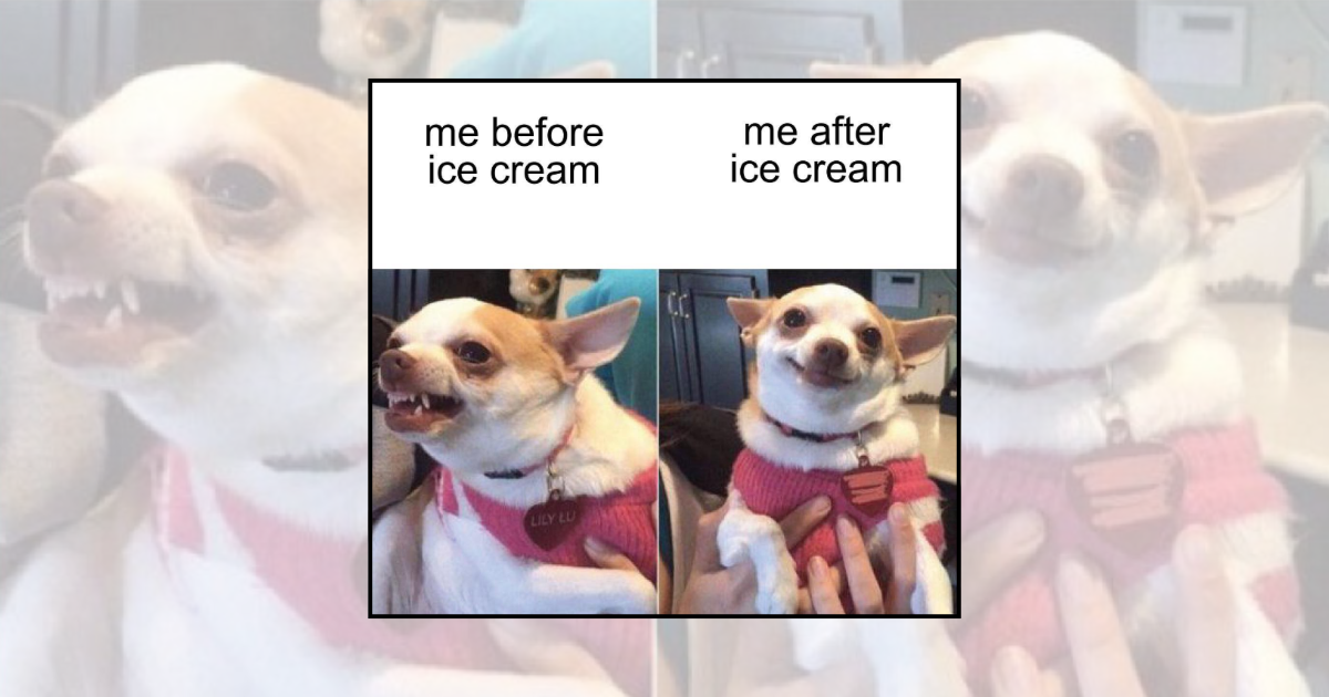 A Sweet Selection of Ice Cream Memes for People Powered by Sugar and Sweet Treats