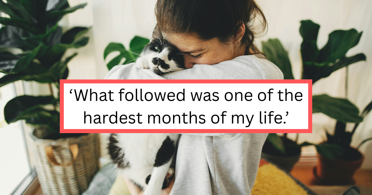 Woman spends months earning a stray cat's trust, then gets the worst diagnosis her vet has seen in 20 years