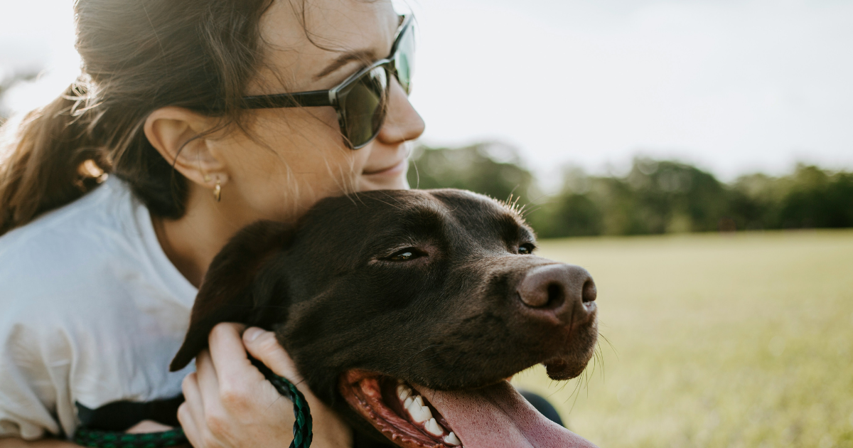 Woman rehomes beloved dog due to financial struggles, asks for him back just one week later after new owner grows attached: 'I know it's the right thing to do, but I'm heartbroken'