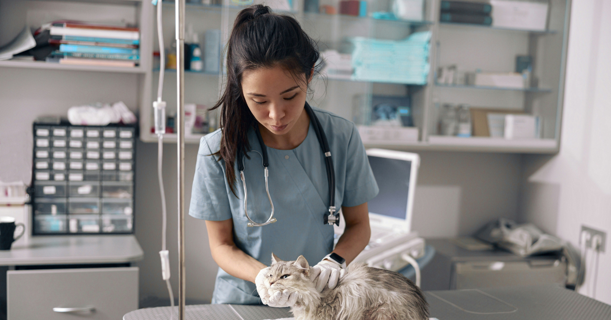 Vet office employee gets tired of hunting down coworker for handovers and starts leaving right on time, coworker runs to the boss to complain: ‘[It's not my business where you are in the building when your shift starts]’