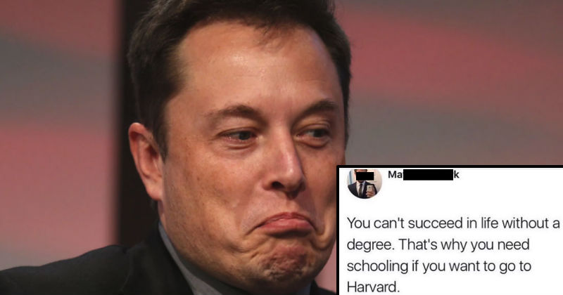 Elon Musk Silences Guy Bragging About Harvard Education On 