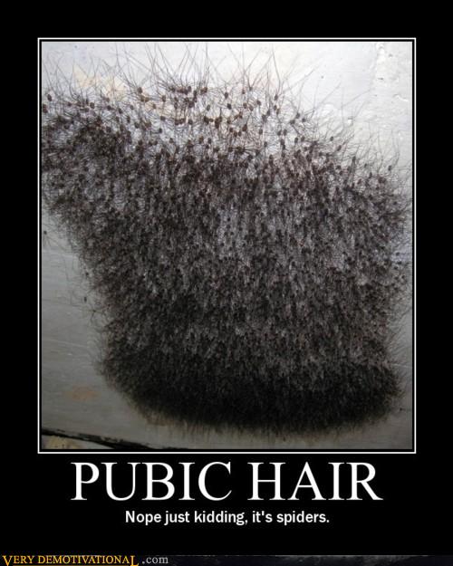 Pubic Hair Very Demotivational Demotivational Posters Very