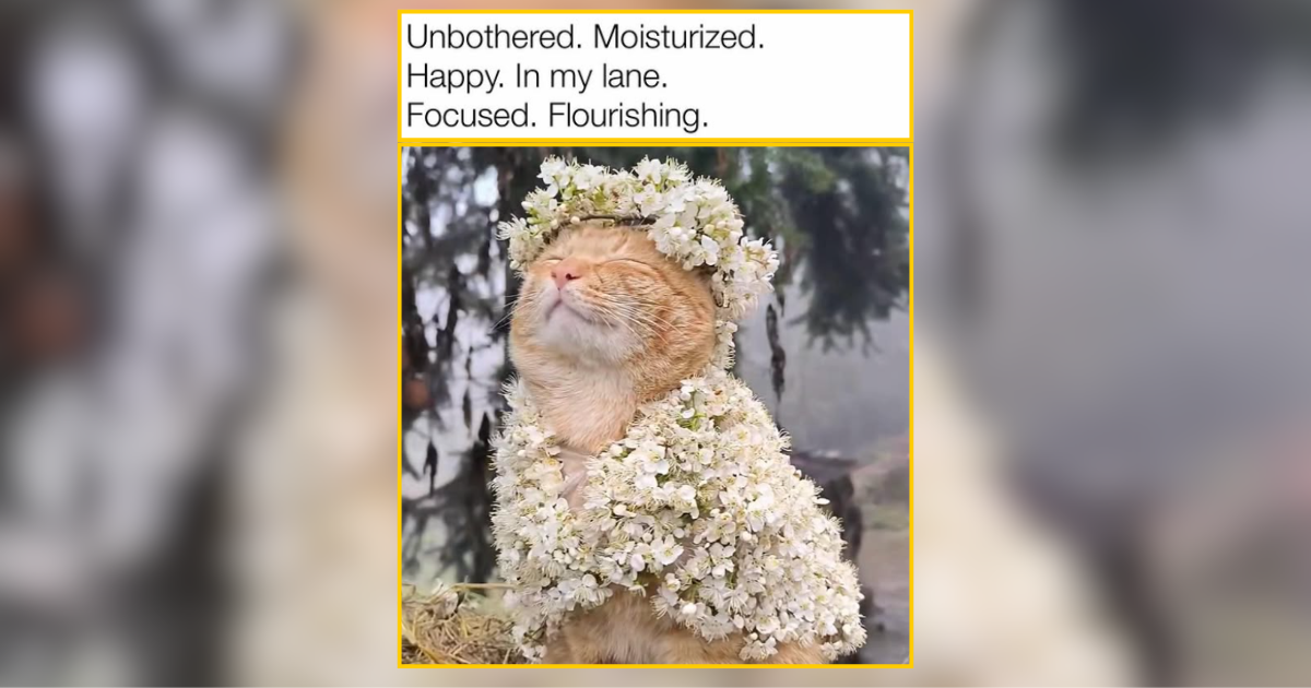 22 Blooming Cats for a Flower-Filled Scroll Session