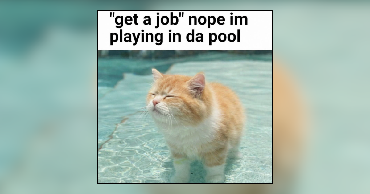 Hot Cat Summer: 28 Cats Who Prove Summer Is Better With a Little Sunshine and a Lot of Naps