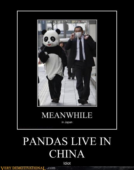 PANDAS LIVE IN CHINA - Very Demotivational - Demotivational Posters