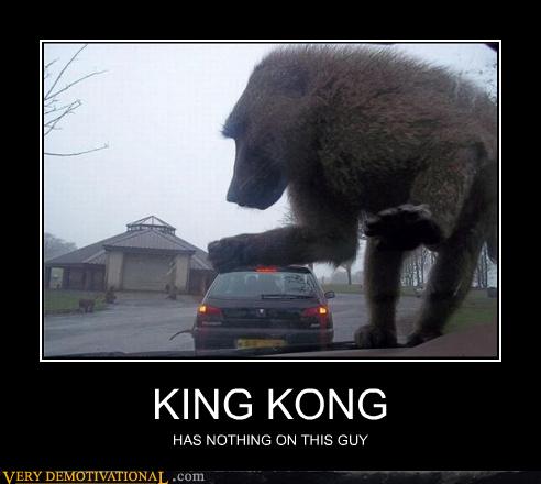 Very Demotivational - king kong - Very Demotivational Posters - Start