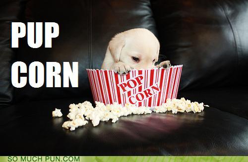 Puns - Popcorn - Funny Puns - Pun Pictures - Cheezburger