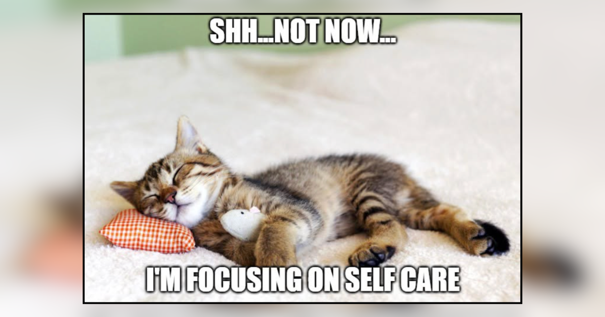 28 Cozy Cat Nap Memes for Everyone Who Wishes It Were Nap Time