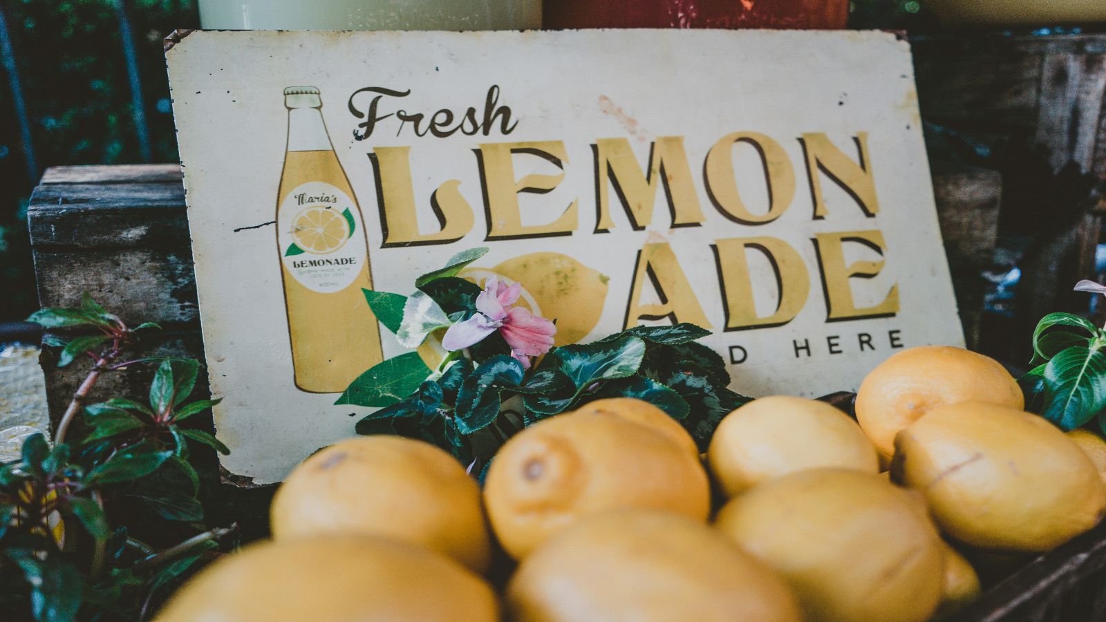 Teenage girl at an event was screaming out loud if customers wanted to leave a tip after paying $11 for a glass of lemonade, making everyone uncomfortable: ‘If you said no to a teenage girl in front of everyone, you'd look [bad].’