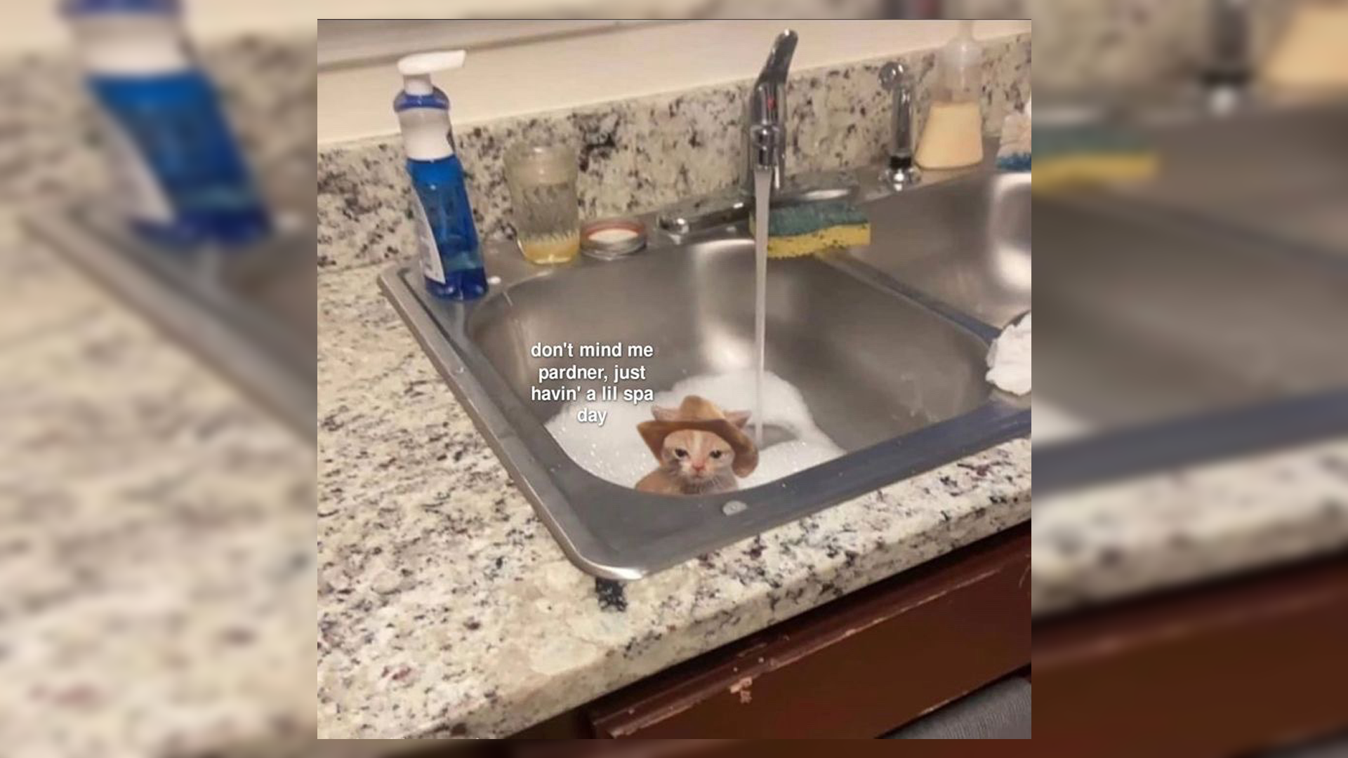'Acting like an unhinged little creature': Random memes to let out your ...