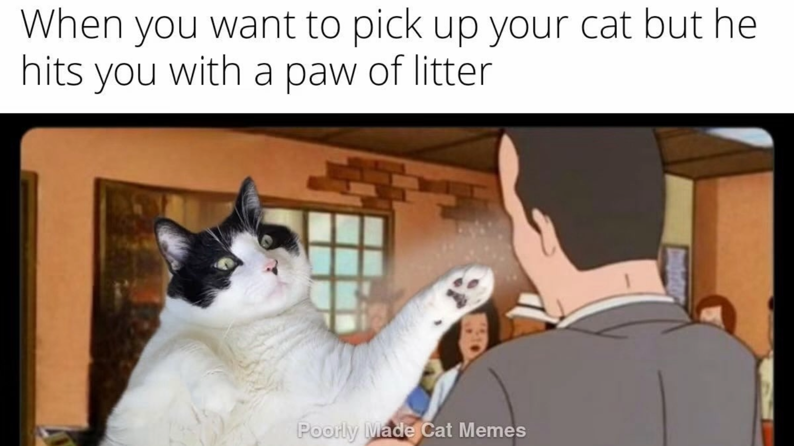 26 Hilarious Kitty Pawrenting Memes fur Feline Fathers and Mothers Missing their Fluffy Babies