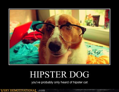 HIPSTER DOG - Very Demotivational - Demotivational Posters | Very