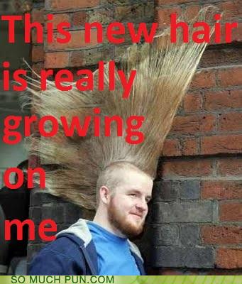 Puns - mohawk - Funny Puns - Pun Pictures - Cheezburger