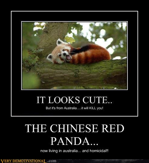 Very Demotivational red panda Very Demotivational 