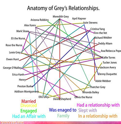 Anatomy Of Grey's Relationships Pop Culture funny celebrity pictures