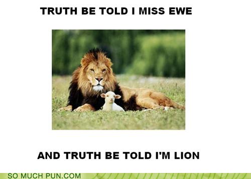 Puns lion Funny Puns Pun Pictures Cheezburger