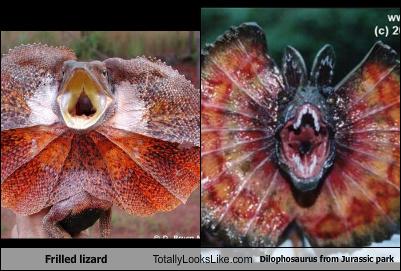 dinosaur that looks like a frilled lizard