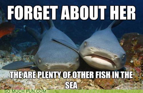 Puns - fish - Funny Puns - Pun Pictures - Cheezburger