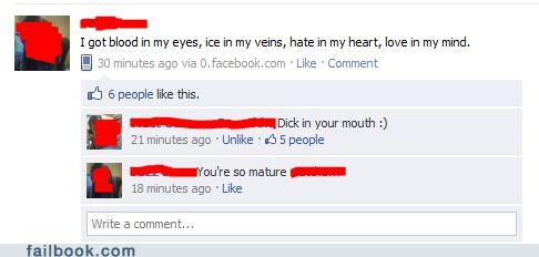 The Pinnacle of Maturity - Failbook - Failing On Facebook