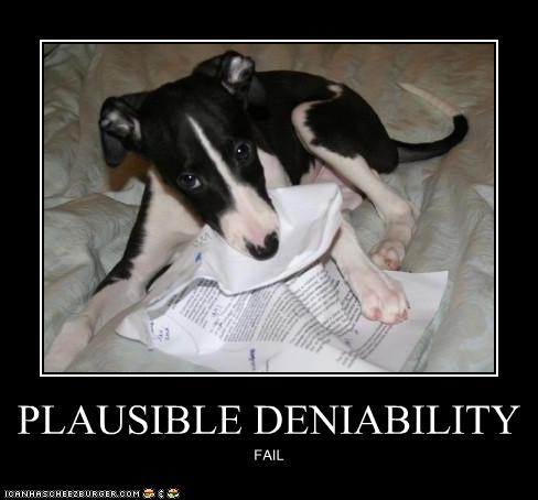 PLAUSIBLE DENIABILITY - I Has A Hotdog - Dog Pictures - Funny pictures ...