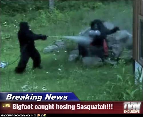 Breaking News - Bigfoot caught hosing Sasquatch ...