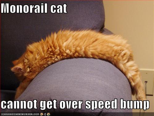 Monorail cat cannot get over speed bump - Cheezburger - Funny Memes ...