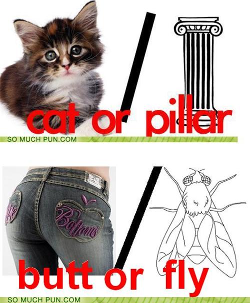 Puns - butterfly - Funny Puns - Pun Pictures - Cheezburger