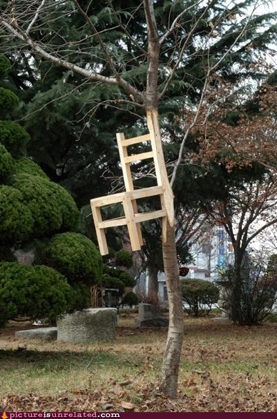 Trees Grow From Chairs... - Picture Is Unrelated - Funny Picture ...