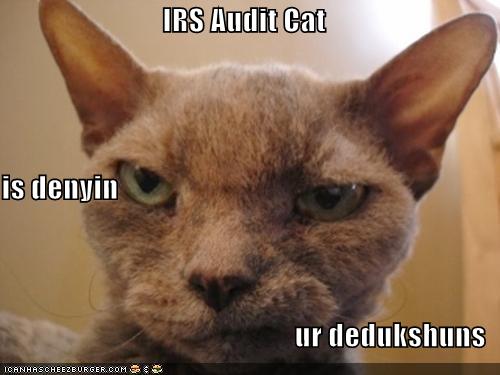 IRS Audit Cat is denyin ur dedukshuns - Cheezburger ...