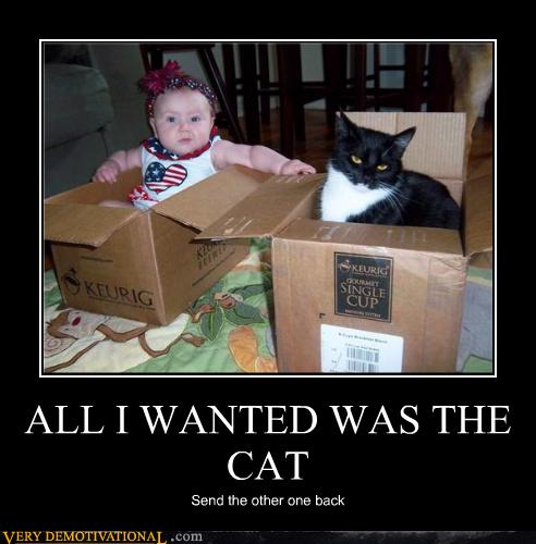 ALL I WANTED WAS THE CAT - Very Demotivational - Demotivational Posters ...