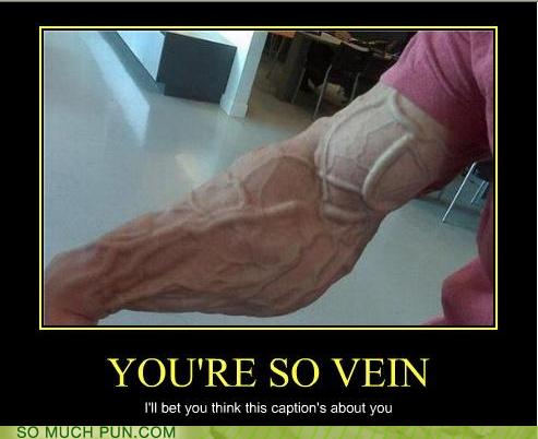 Puns - vein - Funny Puns - Pun Pictures - Cheezburger