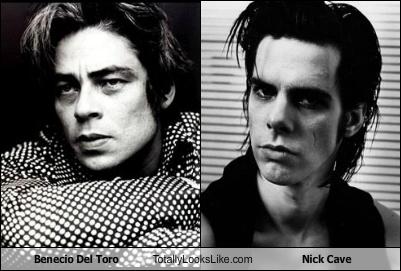 Benicio Del Toro Totally Looks Like Nick Cave - Totally Looks Like