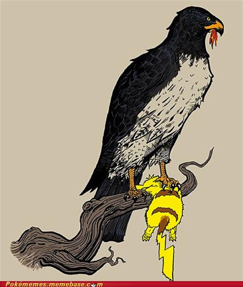 Electric Types are Weak Against Flying Types Pokémemes Pokémon