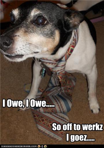 I Owe, I Owe.. - I Has A Hotdog - Dog Pictures - Funny Pictures Of 