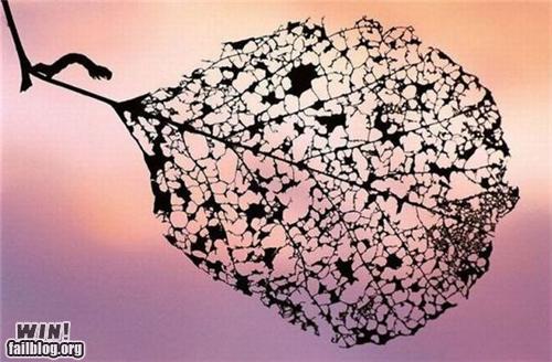 Mother Nature Ftw Hungry Caterpillar Win Win Epic Win Photos