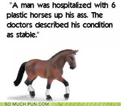 Puns - stable - Funny Puns - Pun Pictures - Cheezburger