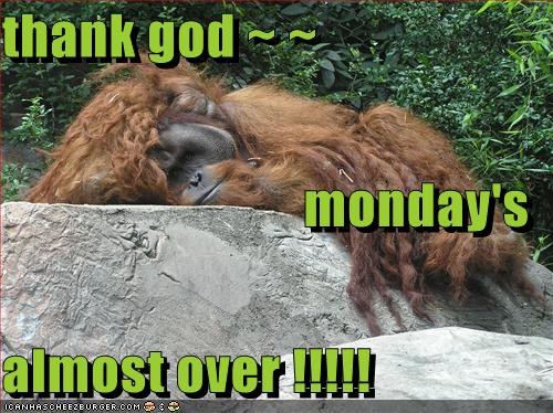 Free dating sites for over fifties