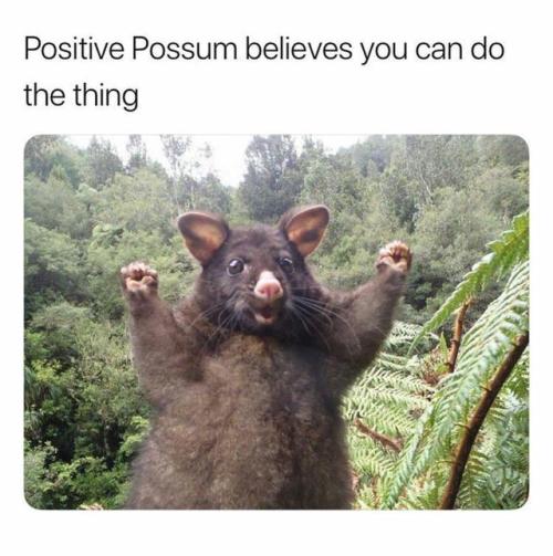 Positivity Memes Bring Positive Good Vibes 17 Memes I Can Has Cheezburger