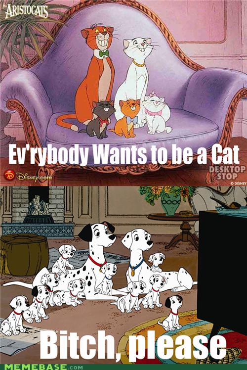 what games to play with cats
