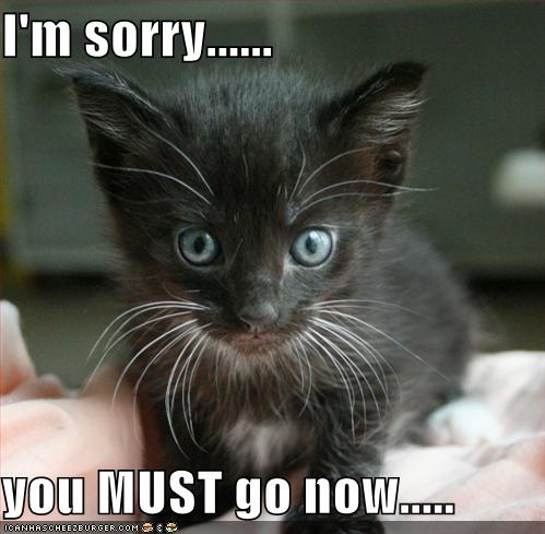 I M Sorry You Must Go Now Cheezburger Funny Memes Funny Pictures