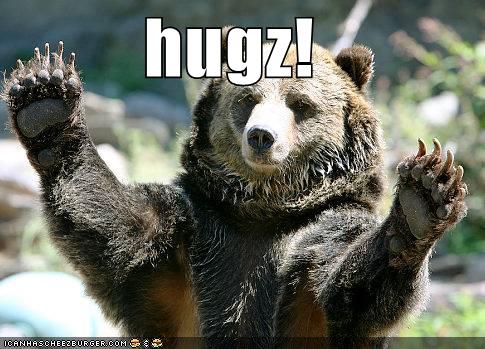 Who Doesn't Love a Nice Bear Hug? - Animal Comedy - Animal Comedy