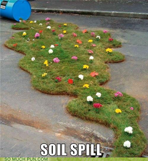 Puns - soil - Funny Puns - Pun Pictures - Cheezburger