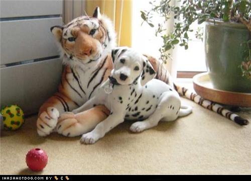 big furry friends stuffed animals