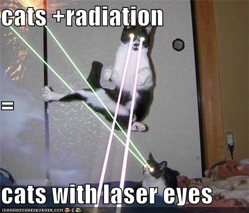 cats +radiation = cats with laser eyes - Cheezburger - Funny Memes | Funny Pictures