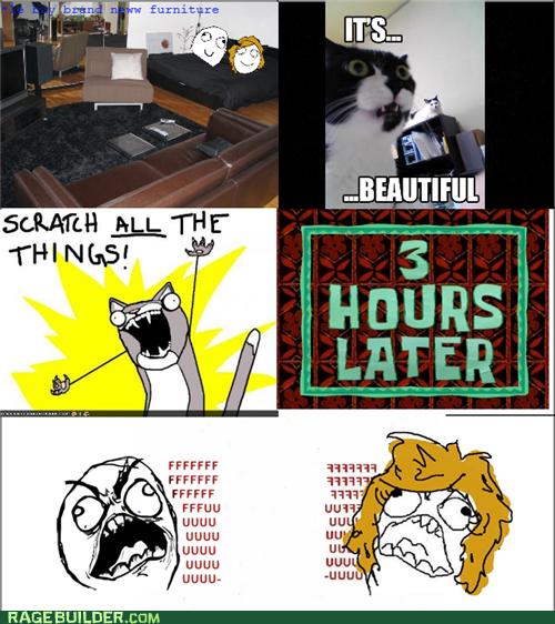 Rage Comics - cat - Rage Comics - rage comics - Cheezburger