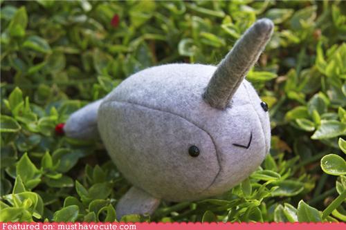 The Narwhal Dreams are Made of - Must Have Cool - Cool Collectible ...