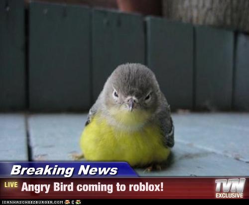 Breaking News Angry Bird Coming To Roblox Cheezburger Funny Memes Funny Pictures - roblox news break