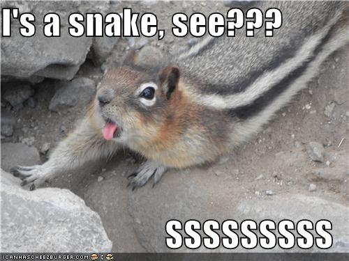 Stop Trying to Join the Snake Party, Chipmunk. We Know You're Not a ...